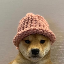 See Dogwifhat